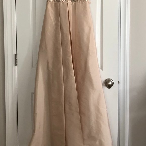 Adrianna Papell Wedding or Prom Dress - Picture 3 of 9